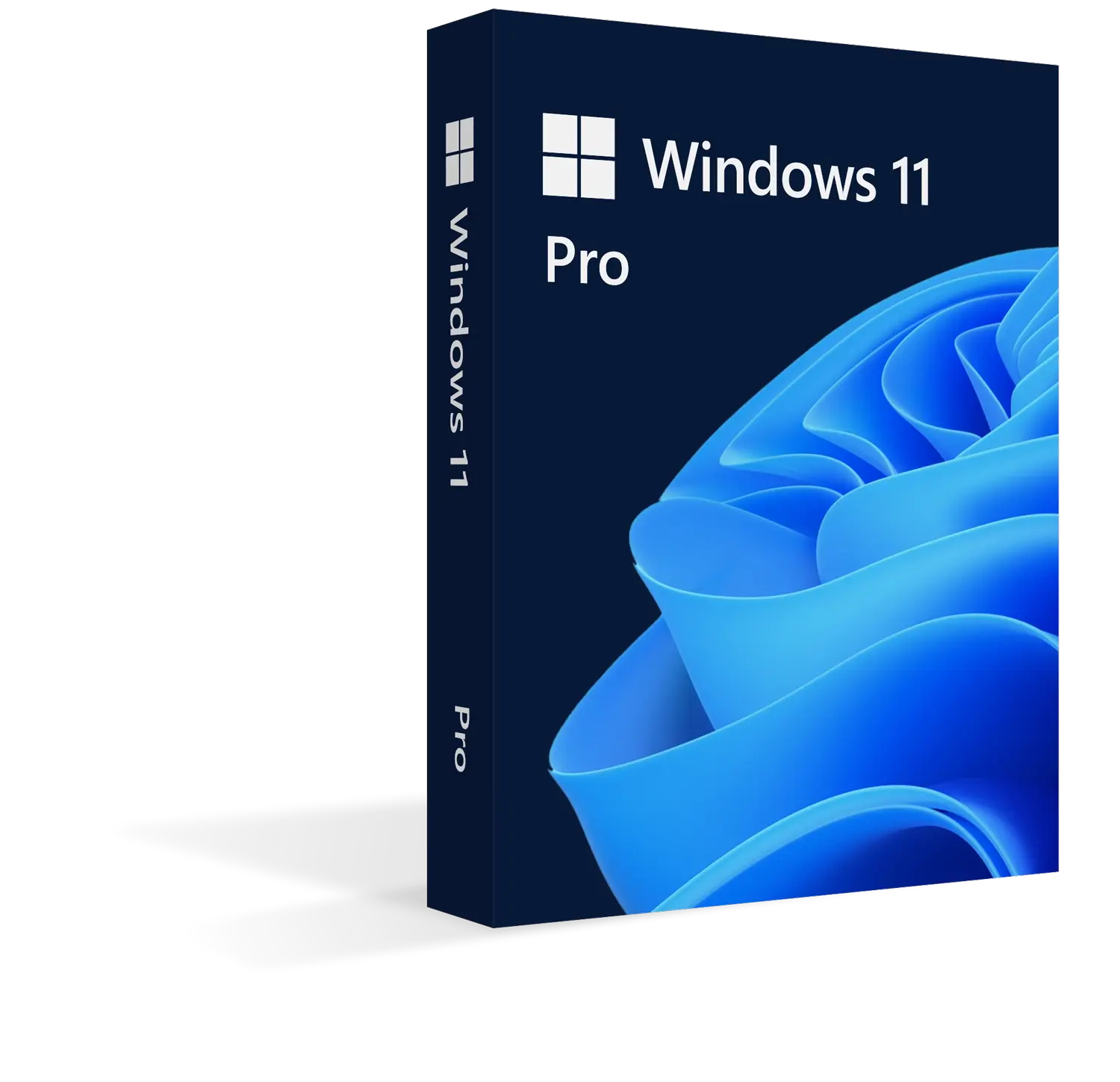 Windows 11 Pro